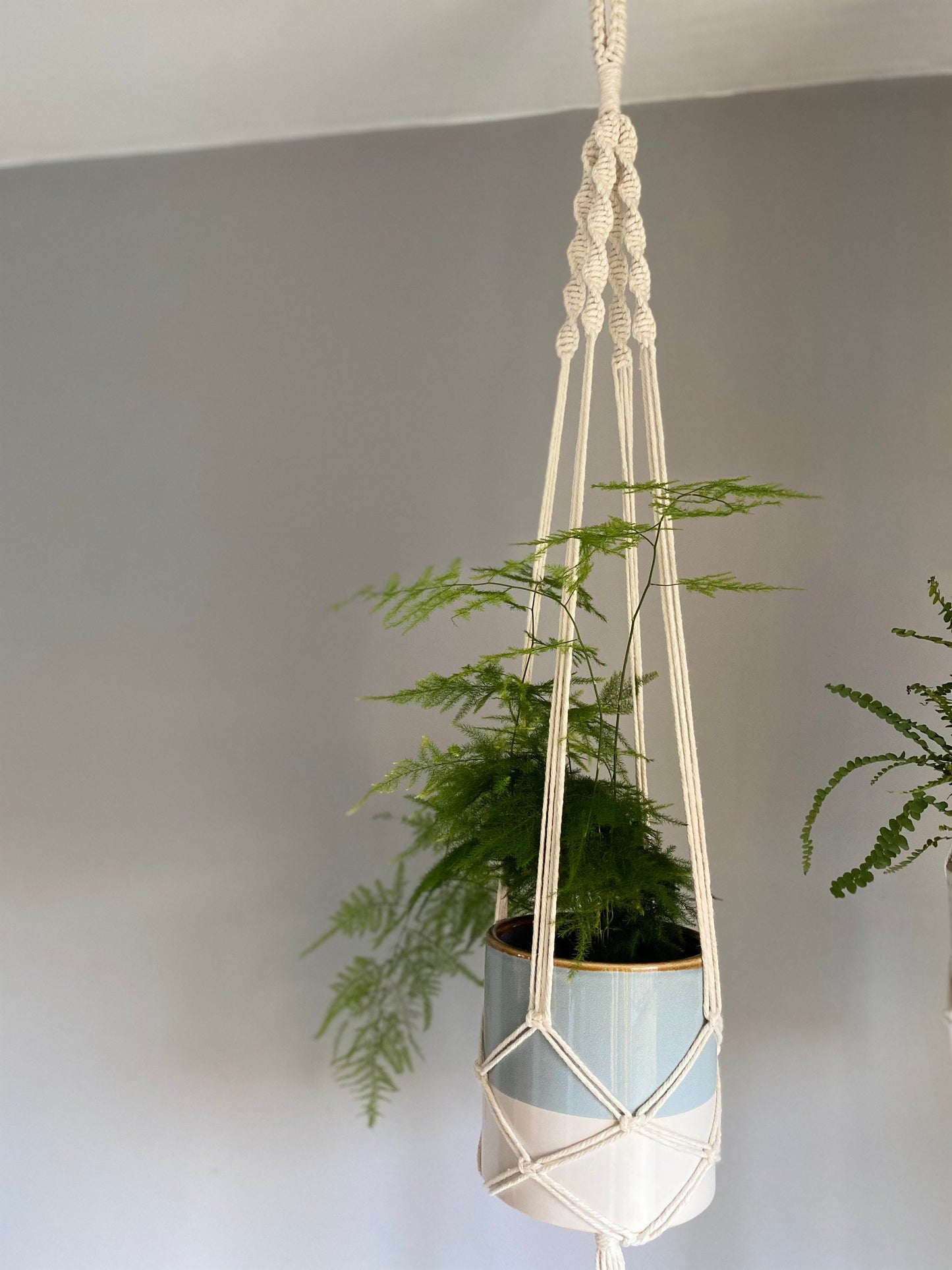 Indoor Macrame Ceiling Plant Hanger with tassel