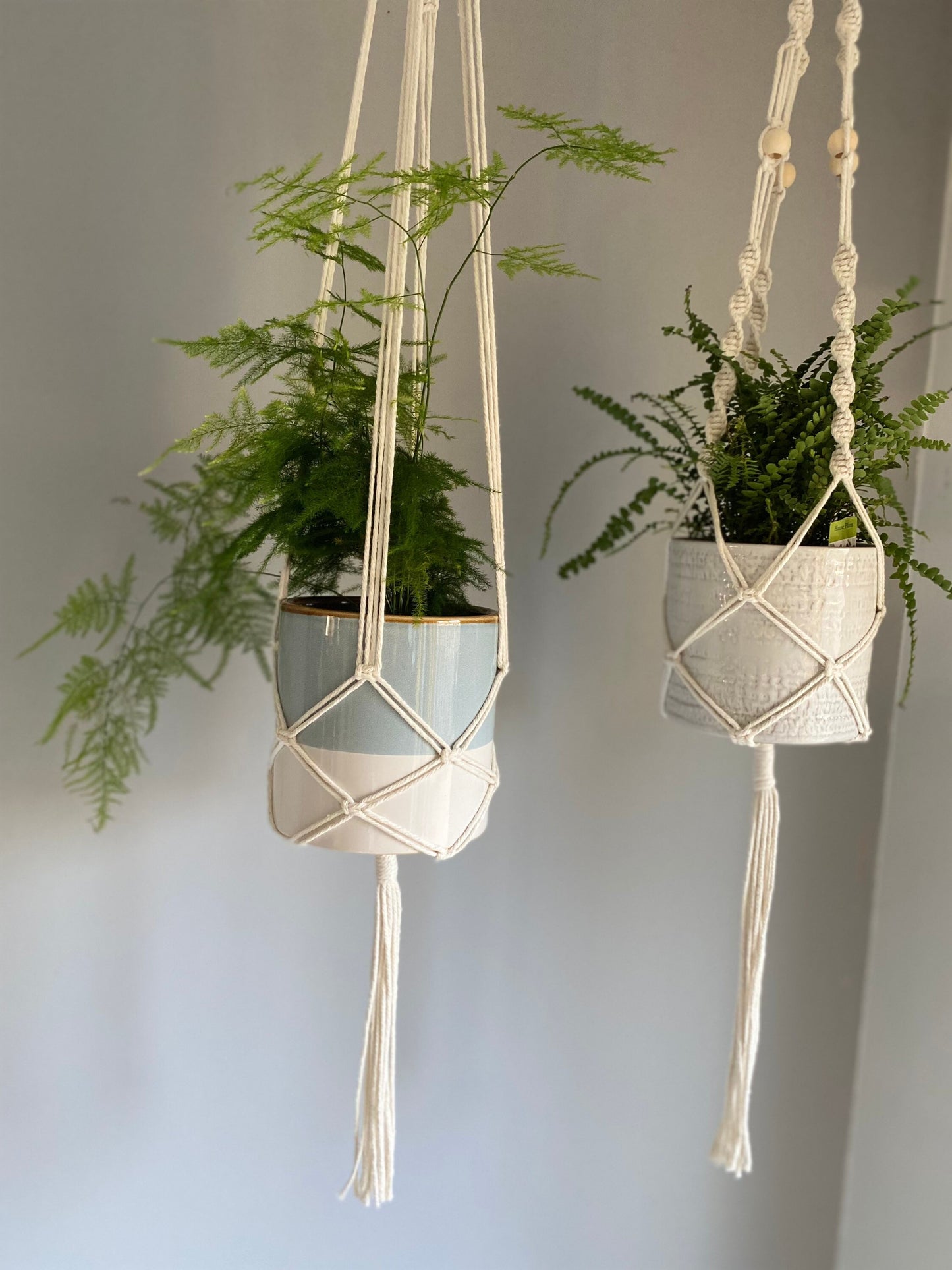 Indoor Macrame Ceiling Plant Hanger with tassel