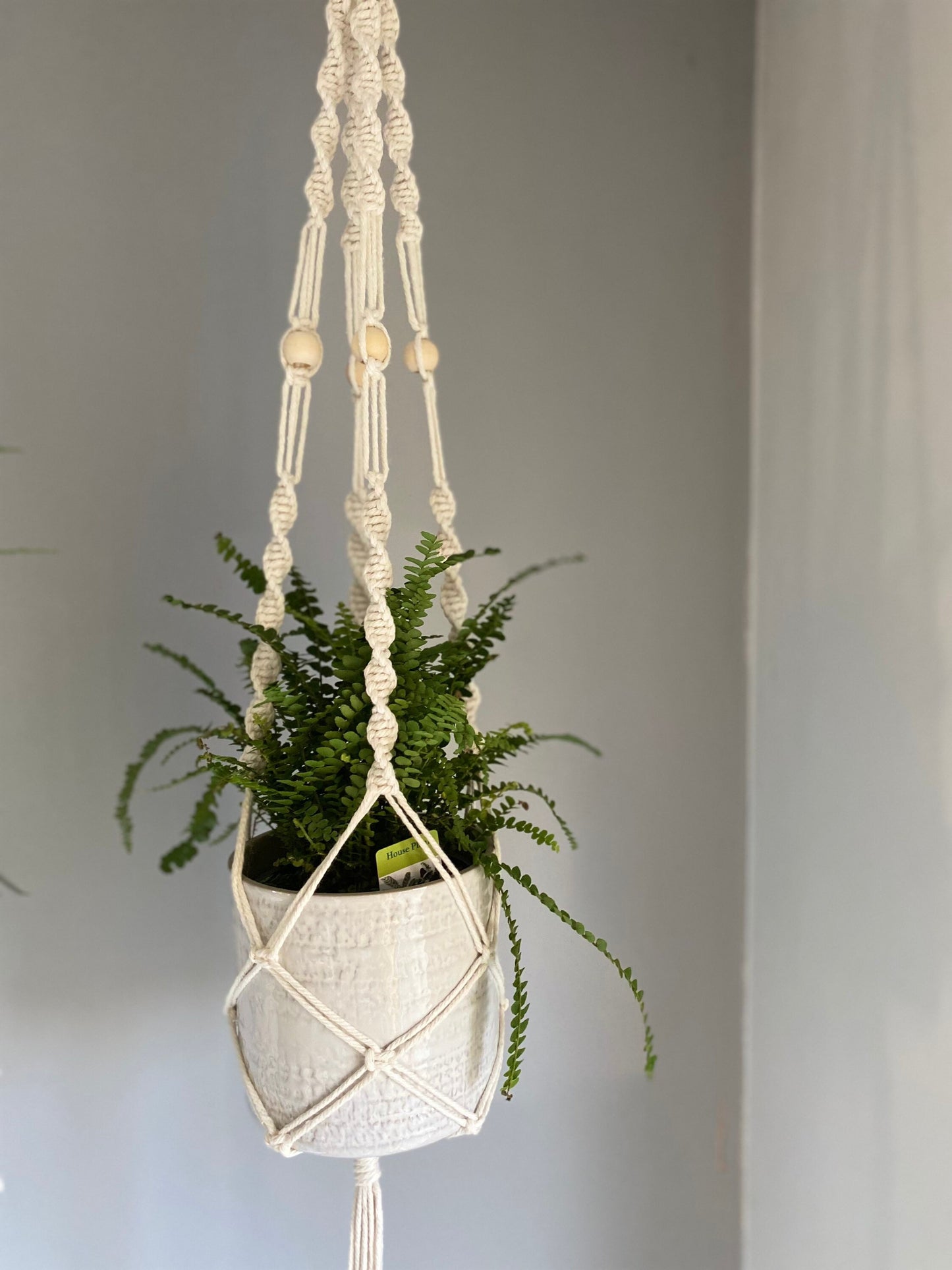 Indoor Macrame Ceiling Plant Hanger with tassel