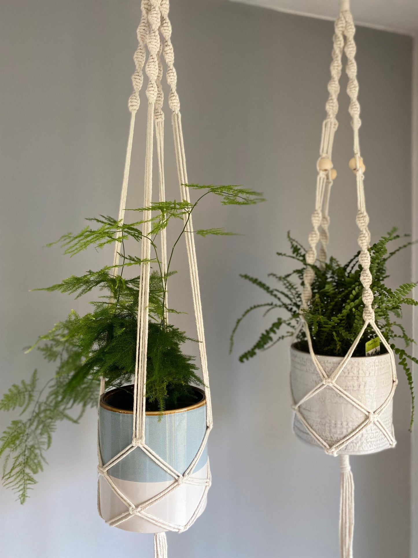 Indoor Macrame Ceiling Plant Hanger with tassel