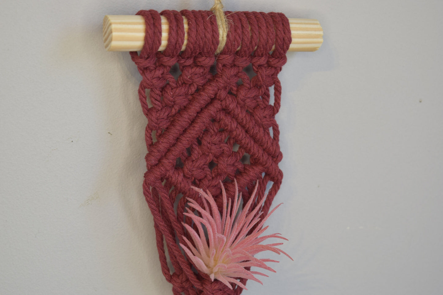 Hanging Air Plant Holder