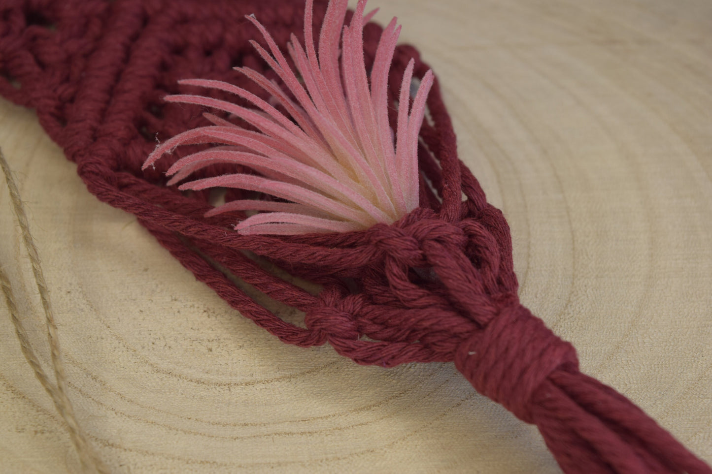 Hanging Air Plant Holder