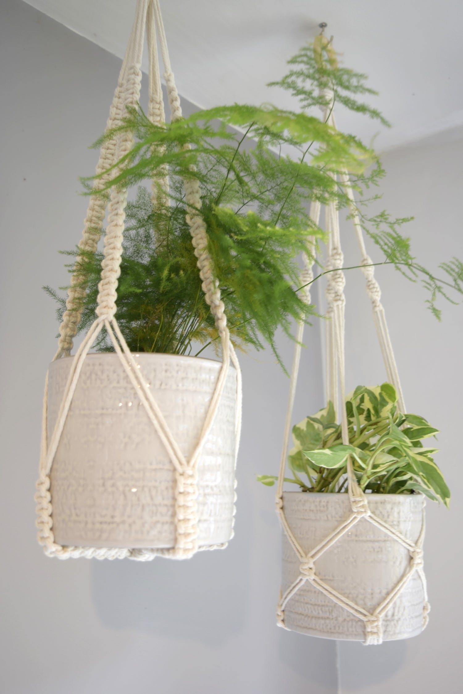 Plant Hangers