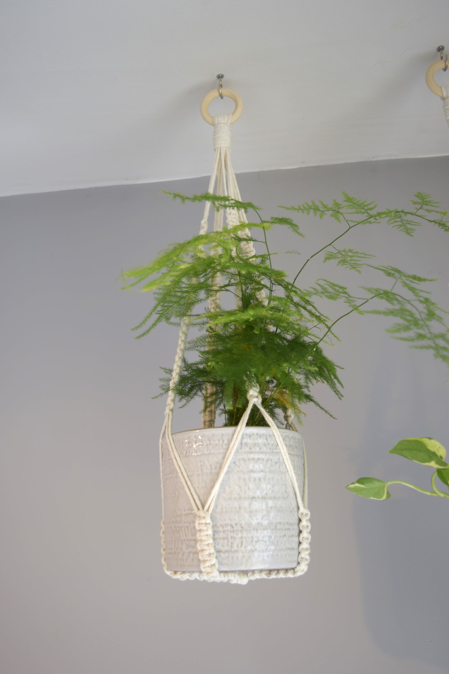 Indoor Macrame Plant Hanger with No Tassel