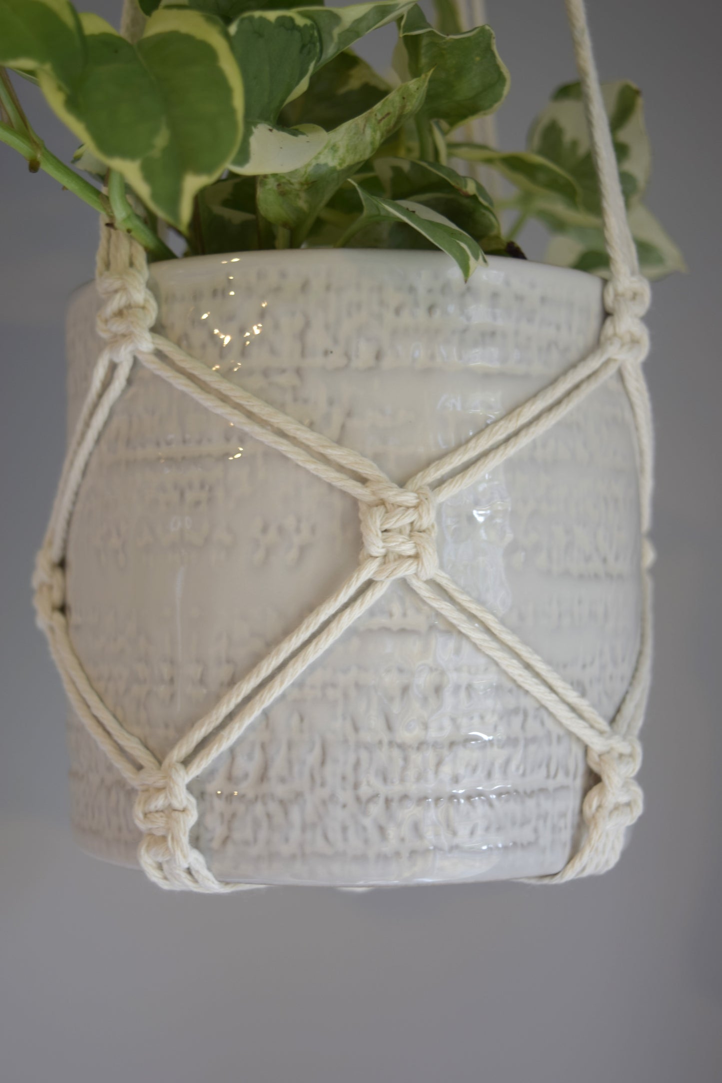 Indoor Macrame Plant Hanger with No Tassel