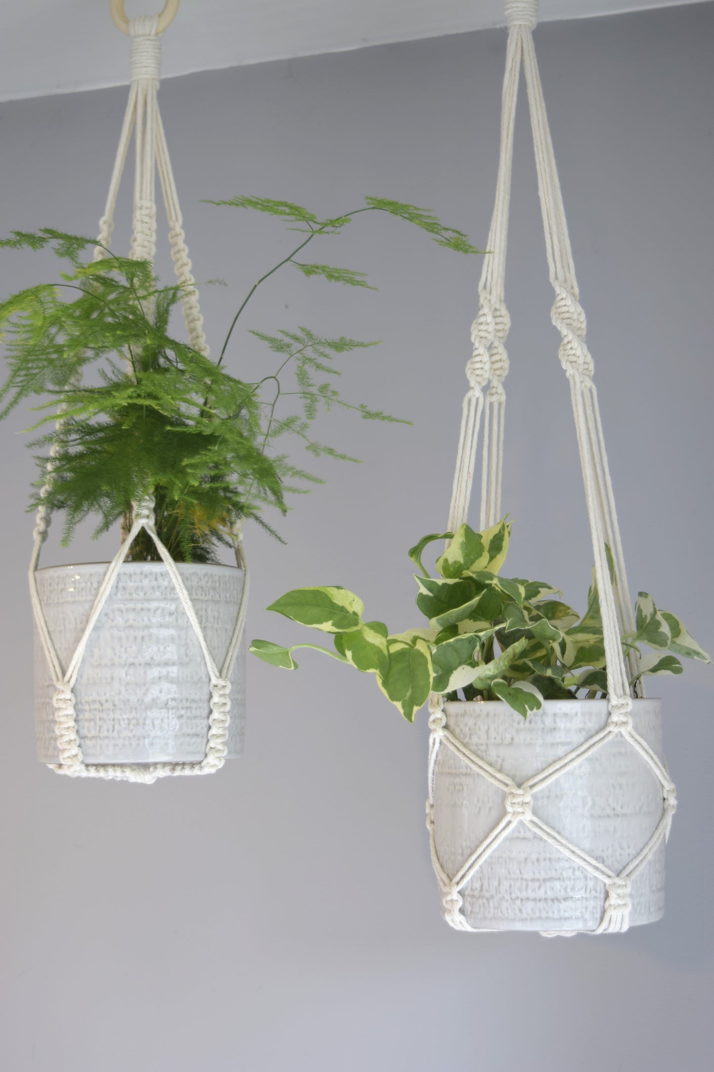 Indoor Macrame Plant Hanger with No Tassel