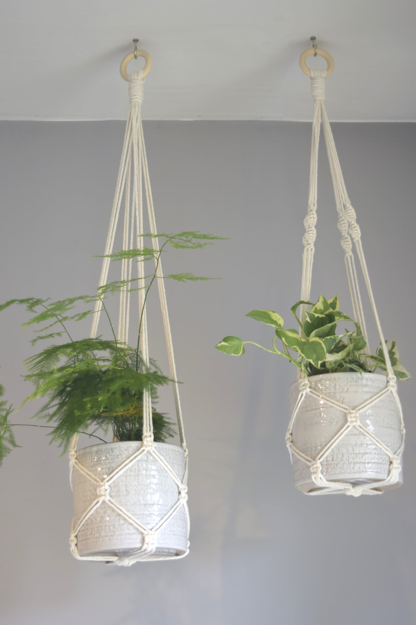 Indoor Macrame Plant Hanger with No Tassel