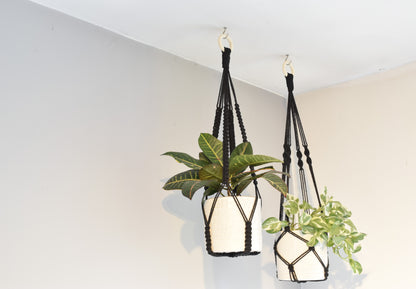 Indoor Macrame Plant Hanger with No Tassel