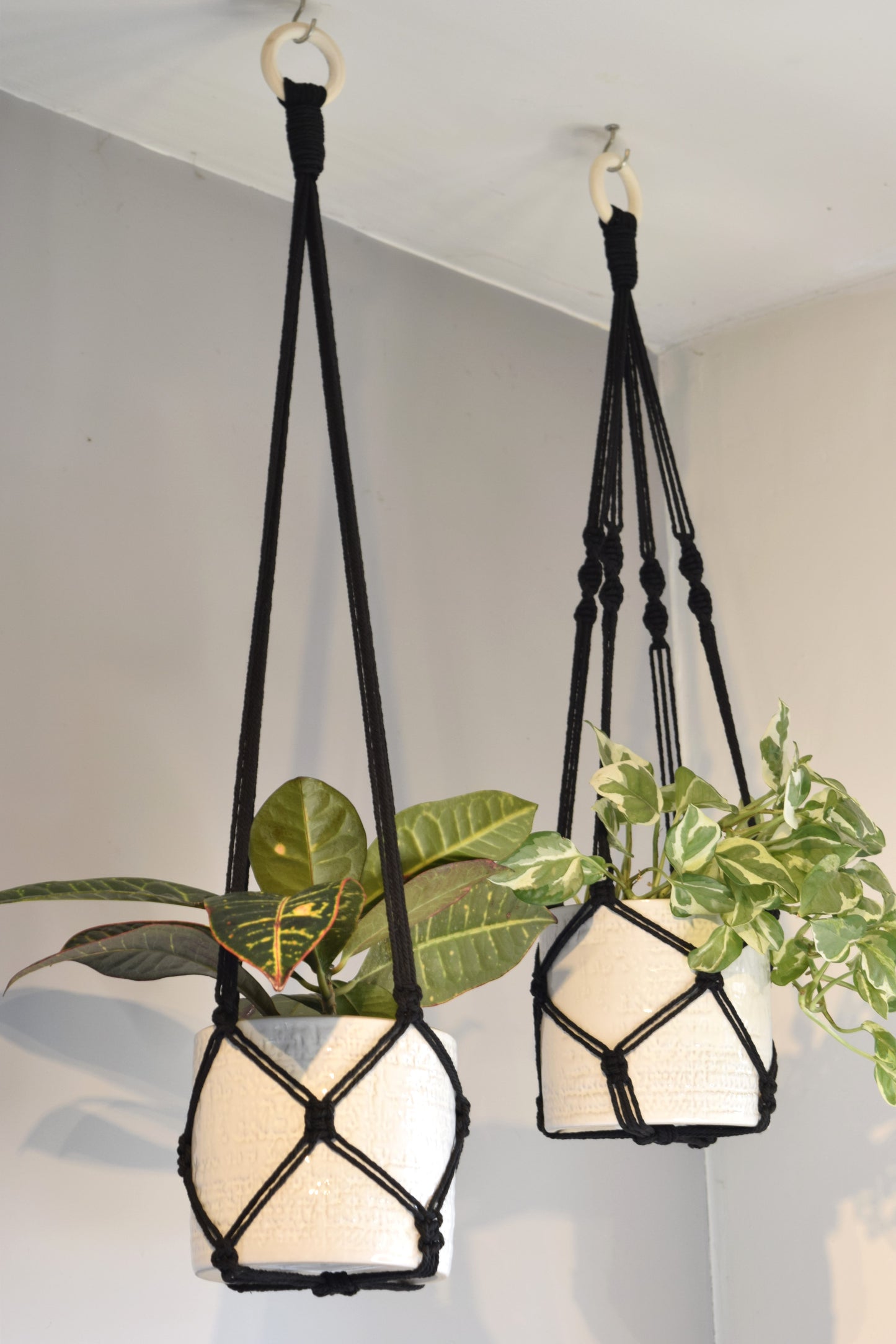 Indoor Macrame Plant Hanger with No Tassel