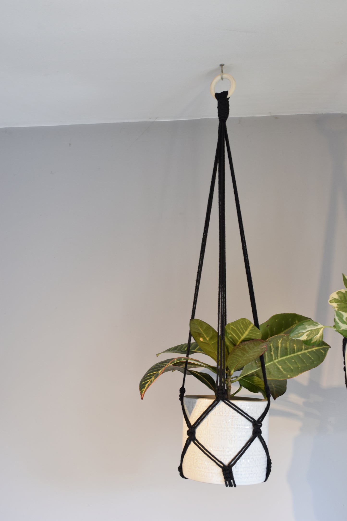 Indoor Macrame Plant Hanger with No Tassel