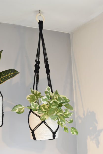 Indoor Macrame Plant Hanger with No Tassel