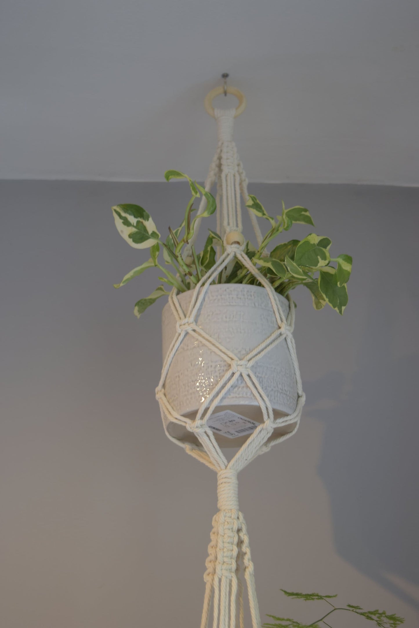 Large Three Tier Macrame Ceiling Plant Hanger