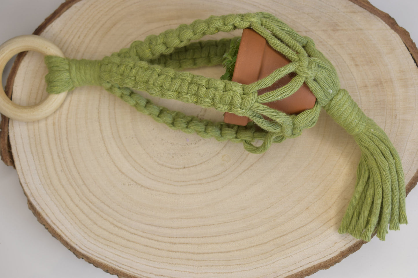 Mini Indoor Macrame Plant Hanger