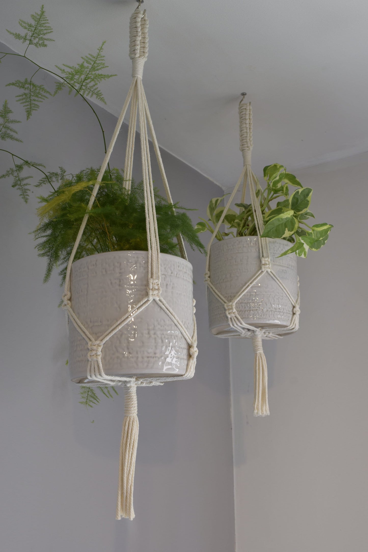 Indoor Macrame Plant Hanger with Tassel