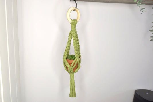 Mini Indoor Macrame Plant Hanger