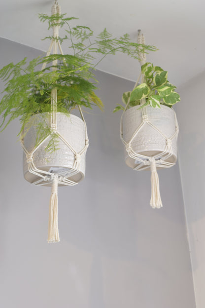 Indoor Macrame Plant Hanger with Tassel