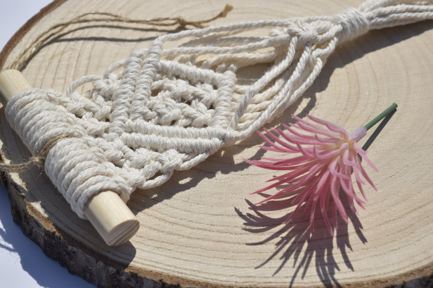 Hanging Air Plant Holder