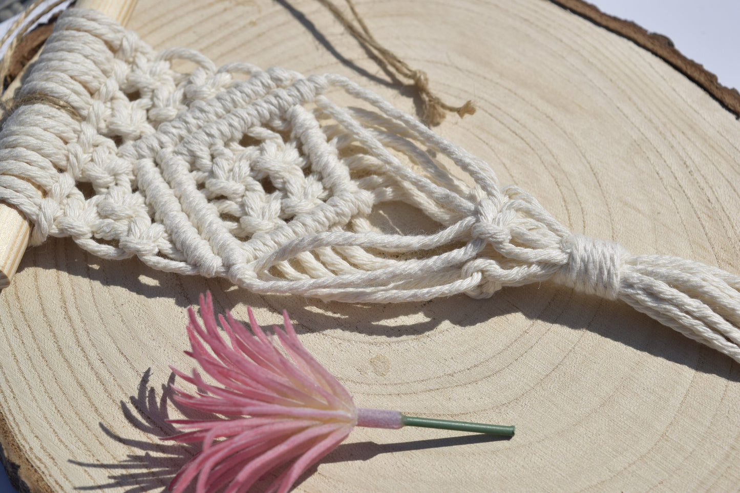 Hanging Air Plant Holder