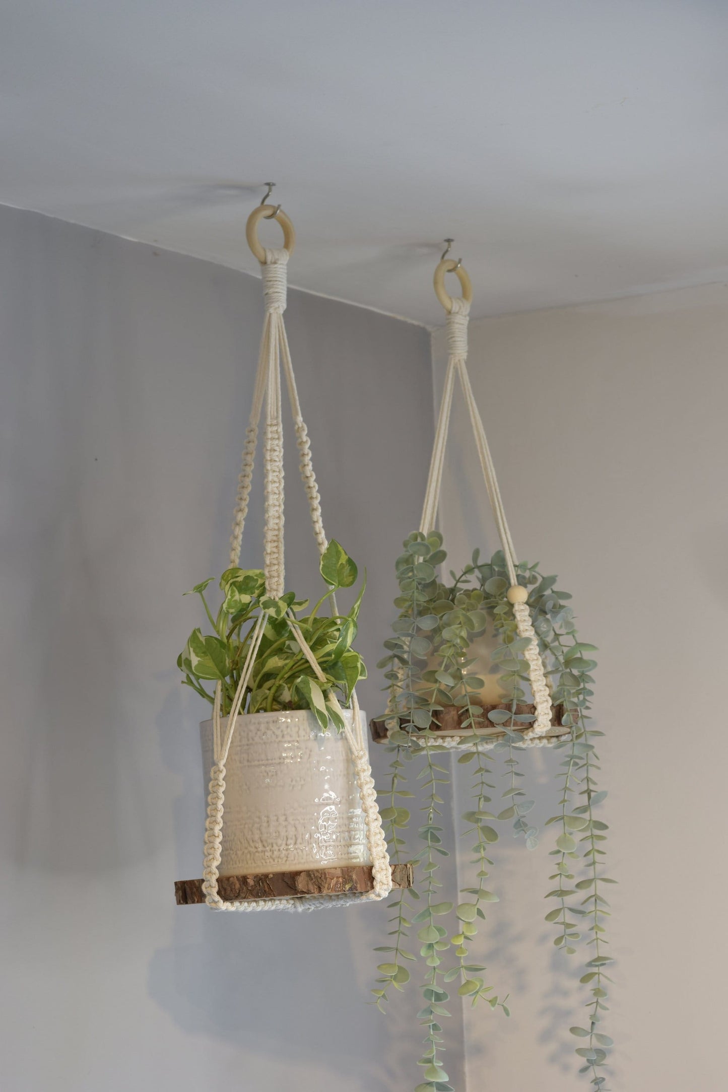 Indoor Macrame Plant Hanger No Tassel with Wooden Disc