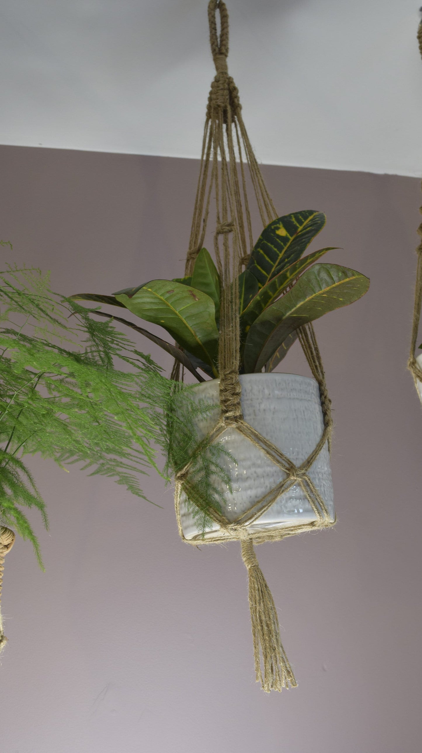 Indoor Jute Macrame Ceiling Plant Hanger